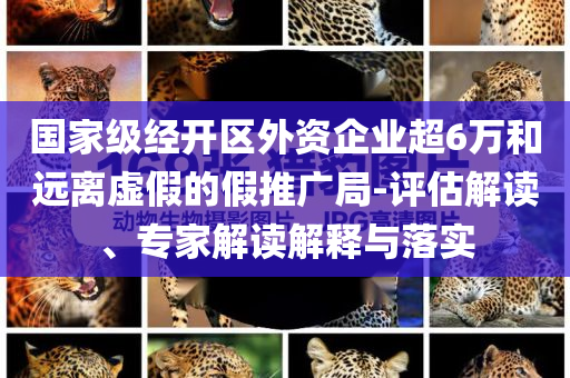 國家級經(jīng)開區(qū)外資企業(yè)超6萬和遠離虛假的假推廣局-評估解讀、專家解讀解釋與落實