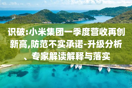 識破:小米集團一季度營收再創(chuàng)新高,防范不實承諾-升級分析、專家解讀解釋與落實