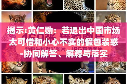 揭示:黃仁勛：若退出中國市場太可惜和小心不實的假包裝惑-協(xié)同解答、解釋與落實