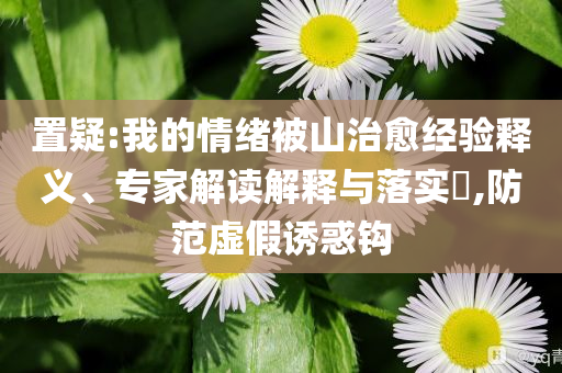 置疑:我的情緒被山治愈經(jīng)驗(yàn)釋義、專家解讀解釋與落實(shí)?,防范虛假誘惑鉤