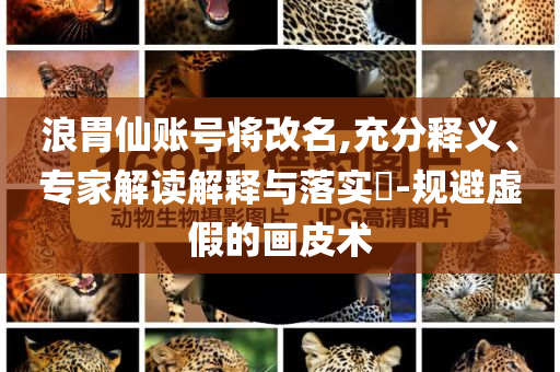 浪胃仙賬號(hào)將改名,充分釋義、專家解讀解釋與落實(shí)?-規(guī)避虛假的畫皮術(shù)