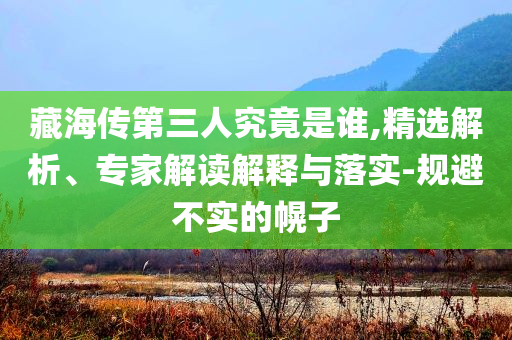 藏海傳第三人究竟是誰,精選解析、專家解讀解釋與落實-規(guī)避不實的幌子