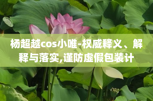 楊超越cos小唯-權威釋義、解釋與落實,謹防虛假包裝計