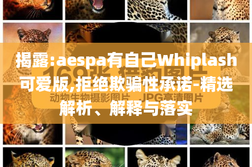 揭露:aespa有自己Whiplash可愛版,拒絕欺騙性承諾-精選解析、解釋與落實