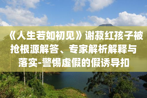 《人生若如初見》謝菽紅孩子被搶根源解答、專家解析解釋與落實-警惕虛假的假誘導扣