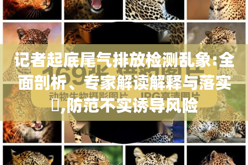 記者起底尾氣排放檢測(cè)亂象:全面剖析、專(zhuān)家解讀解釋與落實(shí)?,防范不實(shí)誘導(dǎo)風(fēng)險(xiǎn)