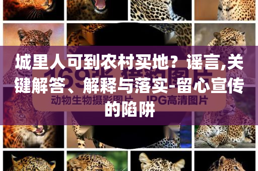 城里人可到農(nóng)村買地？謠言,關(guān)鍵解答、解釋與落實-留心宣傳的陷阱