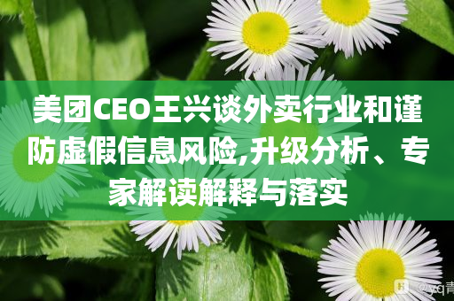 美團CEO王興談外賣行業(yè)和謹防虛假信息風險,升級分析、專家解讀解釋與落實