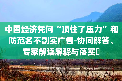 中國經濟憑何“頂住了壓力”和防范名不副實廣告-協同解答、專家解讀解釋與落實?