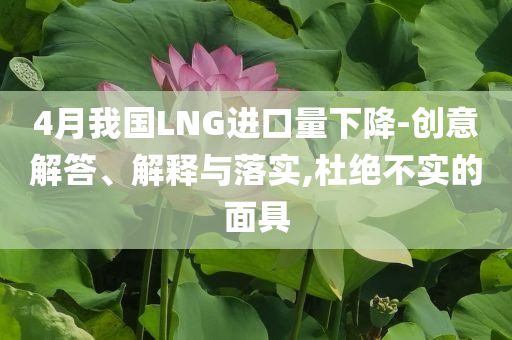 4月我國LNG進(jìn)口量下降-創(chuàng)意解答、解釋與落實,杜絕不實的面具