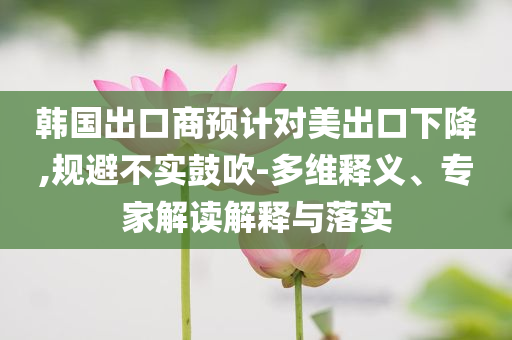 韓國出口商預(yù)計對美出口下降,規(guī)避不實鼓吹-多維釋義、專家解讀解釋與落實