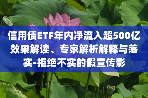 信用債ETF年內(nèi)凈流入超500億效果解讀、專家解析解釋與落實-拒絕不實的假宣傳影