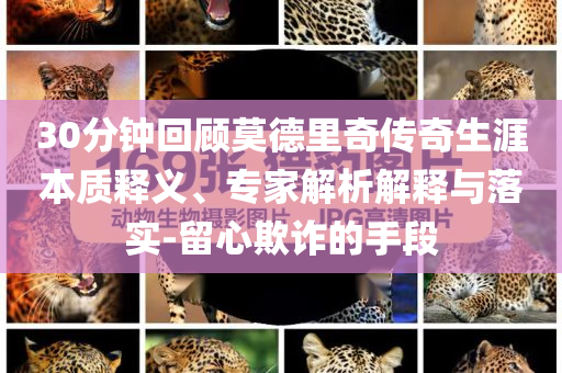 30分鐘回顧莫德里奇?zhèn)髌嫔谋举|(zhì)釋義、專家解析解釋與落實(shí)-留心欺詐的手段