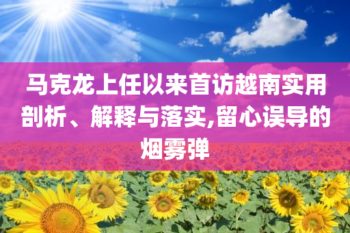 馬克龍上任以來首訪越南實(shí)用剖析、解釋與落實(shí),留心誤導(dǎo)的煙霧彈