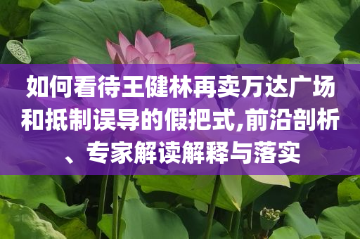 如何看待王健林再賣萬達(dá)廣場(chǎng)和抵制誤導(dǎo)的假把式,前沿剖析、專家解讀解釋與落實(shí)