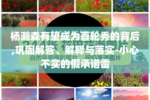 楊瀚森有望成為首輪秀的背后,鞏固解答、解釋與落實(shí)-小心不實(shí)的假承諾雷