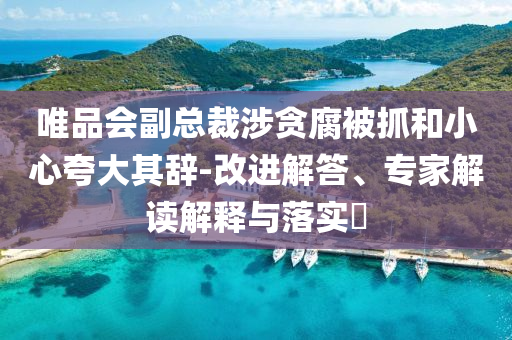 唯品會副總裁涉貪腐被抓和小心夸大其辭-改進解答、專家解讀解釋與落實?