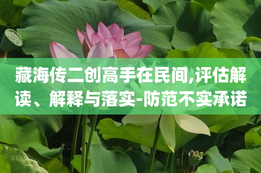 藏海傳二創(chuàng)高手在民間,評估解讀、解釋與落實(shí)-防范不實(shí)承諾