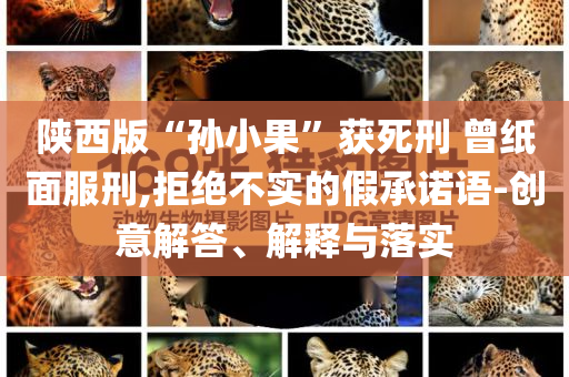 陜西版“孫小果”獲死刑 曾紙面服刑,拒絕不實(shí)的假承諾語-創(chuàng)意解答、解釋與落實(shí)