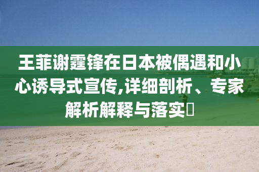 王菲謝霆鋒在日本被偶遇和小心誘導(dǎo)式宣傳,詳細(xì)剖析、專家解析解釋與落實(shí)?