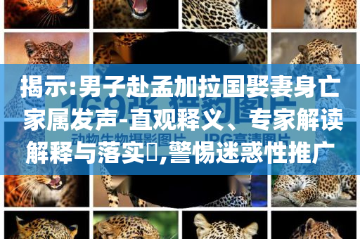 揭示:男子赴孟加拉國(guó)娶妻身亡 家屬發(fā)聲-直觀釋義、專家解讀解釋與落實(shí)?,警惕迷惑性推廣
