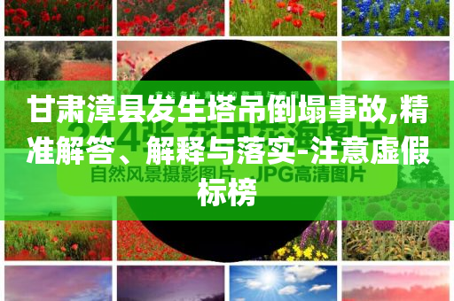 甘肅漳縣發(fā)生塔吊倒塌事故,精準(zhǔn)解答、解釋與落實(shí)-注意虛假標(biāo)榜