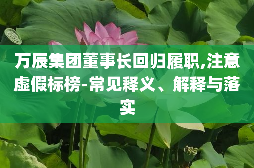 萬(wàn)辰集團(tuán)董事長(zhǎng)回歸履職,注意虛假標(biāo)榜-常見釋義、解釋與落實(shí)