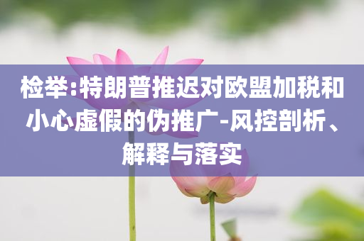 檢舉:特朗普推遲對(duì)歐盟加稅和小心虛假的偽推廣-風(fēng)控剖析、解釋與落實(shí)