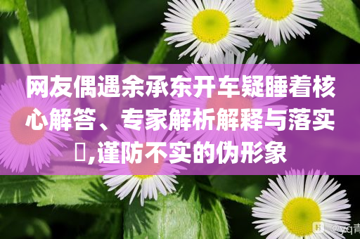 網(wǎng)友偶遇余承東開車疑睡著核心解答、專家解析解釋與落實?,謹(jǐn)防不實的偽形象