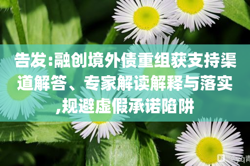告發(fā):融創(chuàng)境外債重組獲支持渠道解答、專家解讀解釋與落實,規(guī)避虛假承諾陷阱