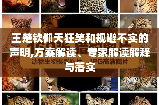 王楚欽仰天狂笑和規(guī)避不實的聲明,方案解讀、專家解讀解釋與落實