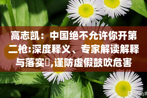 高志凱：中國絕不允許你開第二槍:深度釋義、專家解讀解釋與落實?,謹防虛假鼓吹危害