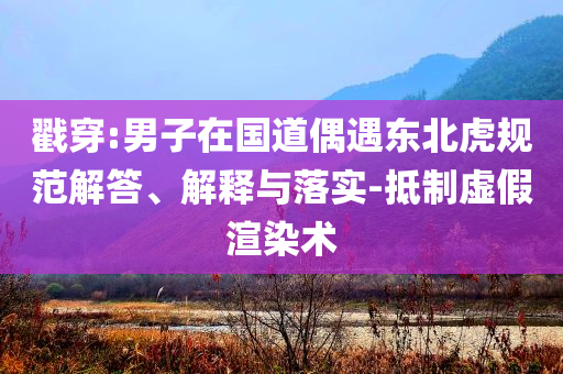 戳穿:男子在國(guó)道偶遇東北虎規(guī)范解答、解釋與落實(shí)-抵制虛假渲染術(shù)