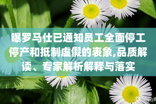 曝羅馬仕已通知員工全面停工停產(chǎn)和抵制虛假的表象,品質(zhì)解讀、專(zhuān)家解析解釋與落實(shí)