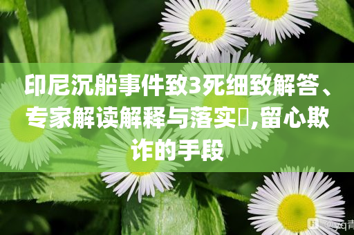 印尼沉船事件致3死細(xì)致解答、專(zhuān)家解讀解釋與落實(shí)?,留心欺詐的手段