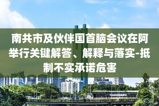 南共市及伙伴國首腦會議在阿舉行關(guān)鍵解答、解釋與落實(shí)-抵制不實(shí)承諾危害