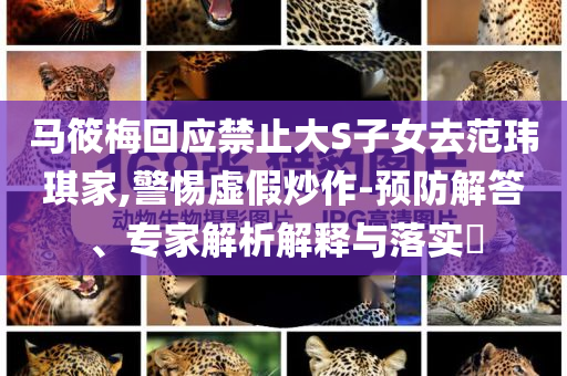 馬筱梅回應(yīng)禁止大S子女去范瑋琪家,警惕虛假炒作-預(yù)防解答、專家解析解釋與落實(shí)?
