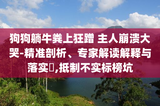 狗狗躺牛糞上狂蹭 主人崩潰大哭-精準(zhǔn)剖析、專家解讀解釋與落實(shí)?,抵制不實(shí)標(biāo)榜坑