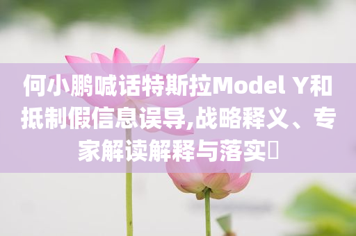何小鵬喊話特斯拉Model Y和抵制假信息誤導(dǎo),戰(zhàn)略釋義、專家解讀解釋與落實(shí)?