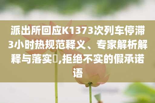 派出所回應(yīng)K1373次列車停滯3小時(shí)熱規(guī)范釋義、專家解析解釋與落實(shí)?,拒絕不實(shí)的假承諾語(yǔ)