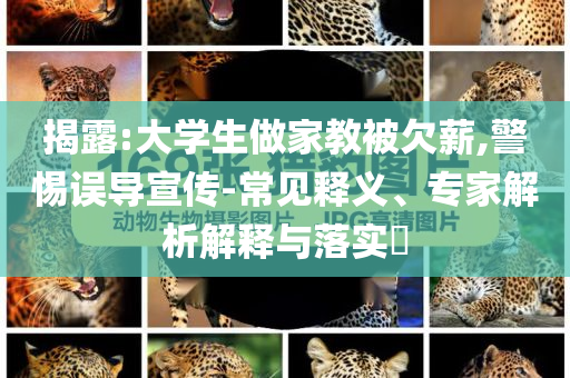 揭露:大學生做家教被欠薪,警惕誤導宣傳-常見釋義、專家解析解釋與落實?