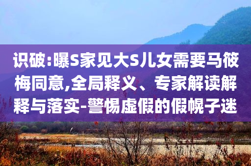 識破:曝S家見大S兒女需要馬筱梅同意,全局釋義、專家解讀解釋與落實-警惕虛假的假幌子迷