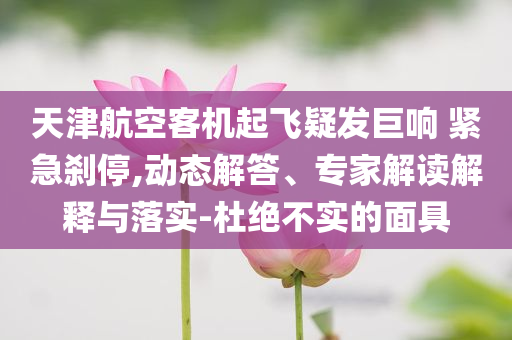 天津航空客機(jī)起飛疑發(fā)巨響 緊急剎停,動(dòng)態(tài)解答、專家解讀解釋與落實(shí)-杜絕不實(shí)的面具