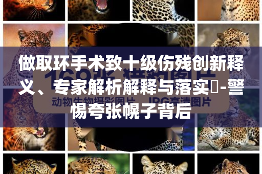 做取環(huán)手術(shù)致十級(jí)傷殘創(chuàng)新釋義、專家解析解釋與落實(shí)?-警惕夸張幌子背后