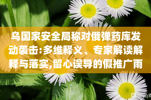 烏國(guó)家安全局稱(chēng)對(duì)俄彈藥庫(kù)發(fā)動(dòng)襲擊:多維釋義、專(zhuān)家解讀解釋與落實(shí),留心誤導(dǎo)的假推廣雨