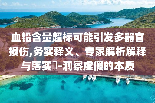 血鉛含量超標(biāo)可能引發(fā)多器官損傷,務(wù)實釋義、專家解析解釋與落實?-洞察虛假的本質(zhì)