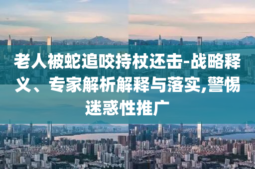 老人被蛇追咬持杖還擊-戰(zhàn)略釋義、專家解析解釋與落實,警惕迷惑性推廣