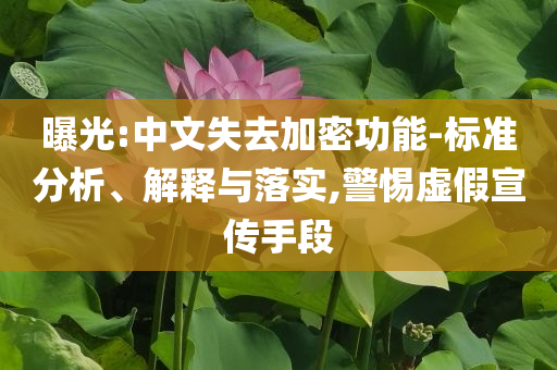 曝光:中文失去加密功能-標(biāo)準(zhǔn)分析、解釋與落實,警惕虛假宣傳手段