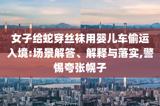 女子給蛇穿絲襪用嬰兒車偷運入境:場景解答、解釋與落實,警惕夸張幌子