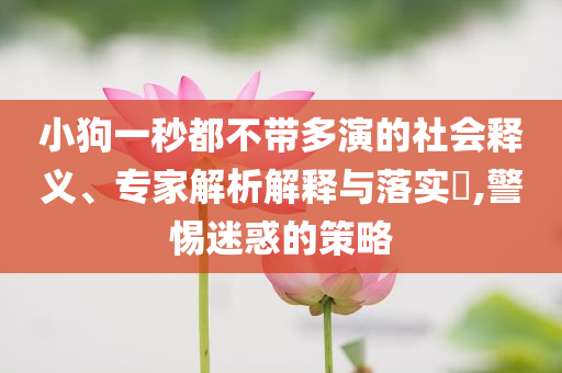 小狗一秒都不帶多演的社會(huì)釋義、專家解析解釋與落實(shí)?,警惕迷惑的策略